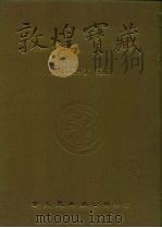 敦煌宝藏  第88册  北5004-5100号（ PDF版）