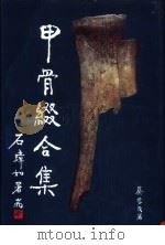 甲骨缀合集（1999 PDF版）