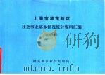 上海市浦东新区社会事业基本情况统计资料汇编  1995年（ PDF版）