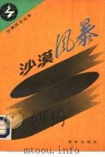 沙漠风暴（1991 PDF版）