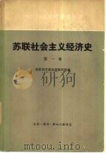 苏联社会主义经济史  第1卷  1917-1920年苏维埃经济（1979 PDF版）
