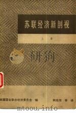 苏联经济新剖视  上（1979 PDF版）