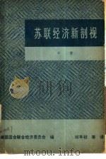 苏联经济新剖视  中（1980 PDF版）