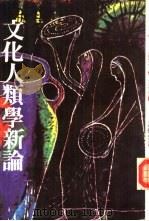 文化人类学新论 PDF电子版封面 许烺光著