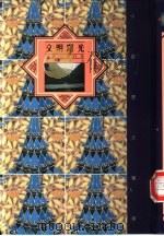 文明曙光-上古、秦代卷 1992 PDF电子版封面 962231662X 冯宝志著