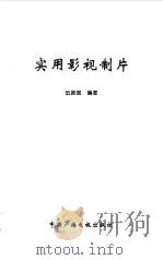 实用影视制片（1999 PDF版）