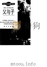 父与子 IBM发家史（1993 PDF版）