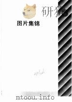 自然科学年鉴  1990（1992 PDF版）