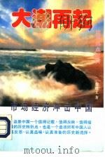 大潮再起（1993 PDF版）