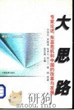 大思路 专家论述:东亚危机和中国的改革与发展 1999 PDF电子版封面 7800873463 刘国光,吴敬琏等著