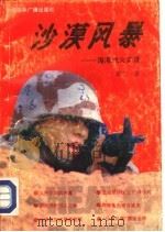 沙漠风暴  海湾战火实录（1991 PDF版）