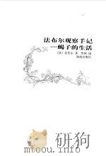 法布尔观察手记(精华卷) 蝎子的生活 1999年09月第1版 PDF电子版封面 (法)法布尔