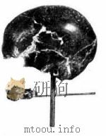 1954年的著作  48-55 NEW ANTHROPOLOGICAL DISCOVERY（ PDF版）