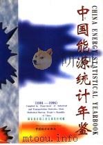 中国能源统计年鉴  1991-1996（1998年08月第1版 PDF版）