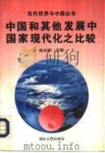 中国和其他发展中国家现代化之比较（1993 PDF版）