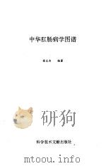 中华肛肠病学图谱（1993 PDF版）