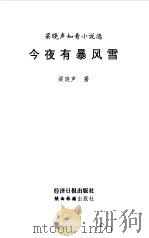 今夜有暴风雨（1997年04月第1版 PDF版）