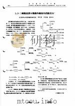 2，3-二磺酰基酒石酸酯和酰胺的消除反应（ PDF版）