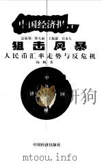 狙击风暴：人民币汇率走势与反危机（1999年01月第1版 PDF版）