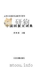 中国回族大词典（1992 PDF版）