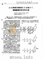 2-去氧-5-三磷酸脲嘧啶核苷的合成 PDF电子版封面 童卫民,张礼和等