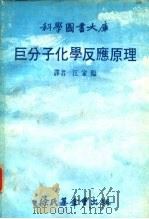 科学图书大库  巨分子化学反应原理（ PDF版）