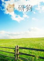 安徽文学 第8期 总第103期 1960 PDF电子版封面