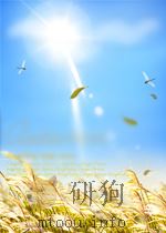 光明日报索引 第11期 总第108期 1961 PDF电子版封面