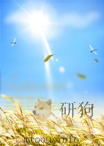 鸭绿江  第8期  总第98期（1963 PDF版）