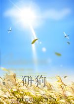 鸭绿江  第8期  总第110期（1964 PDF版）