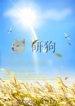 戏剧报  第5期  总第5期（1954 PDF版）