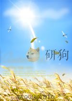 四川教育  第7期（1960 PDF版）