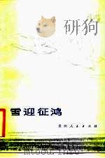 雪迎征鸿（1984 PDF版）