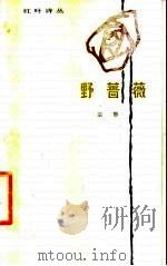 野蔷薇（1983 PDF版）