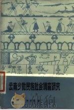 云南少数民族社会调查研究  上集（1980 PDF版）