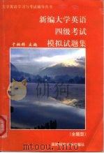 新编大学英语四级考试模拟试题集  全题型（1999 PDF版）