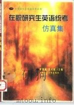 在职研究生英语统考仿真集（1998 PDF版）