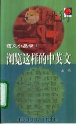 浏览这样的中英文（1999 PDF版）