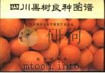 四川果树良种图谱（1975 PDF版）