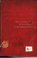 商务书馆英华新字典（ PDF版）