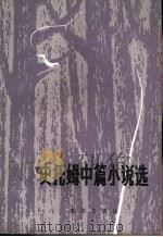 史托姆中篇小说选（1982 PDF版）
