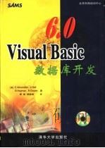 Visual Basic 6.0数据库开发（1999 PDF版）