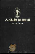 人体解剖图谱  普及本（1979 PDF版）