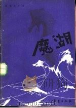 魔湖 1990 PDF电子版封面 7502903402 桑榆,张冲著