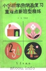 小学数学升学总复习重难点新题型精练（1993 PDF版）