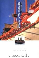 遣唐使が见た中国文化  奈良·藤原京建都千三百年（1995 PDF版）
