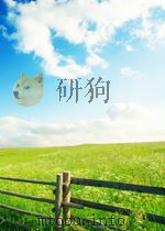 Handbook of NEURAL NETWORK SIGNAL PROCESSING 10  Applications of Artificial Neural Networks (ANNs) t（ PDF版）