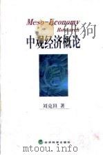 中观经济概论 1999 PDF电子版封面 7505818392 刘克田著