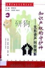 知识产权的守护神  无形资产纠纷例解（1999 PDF版）