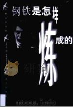 钢铁是怎样炼成的  全译本（1996 PDF版）